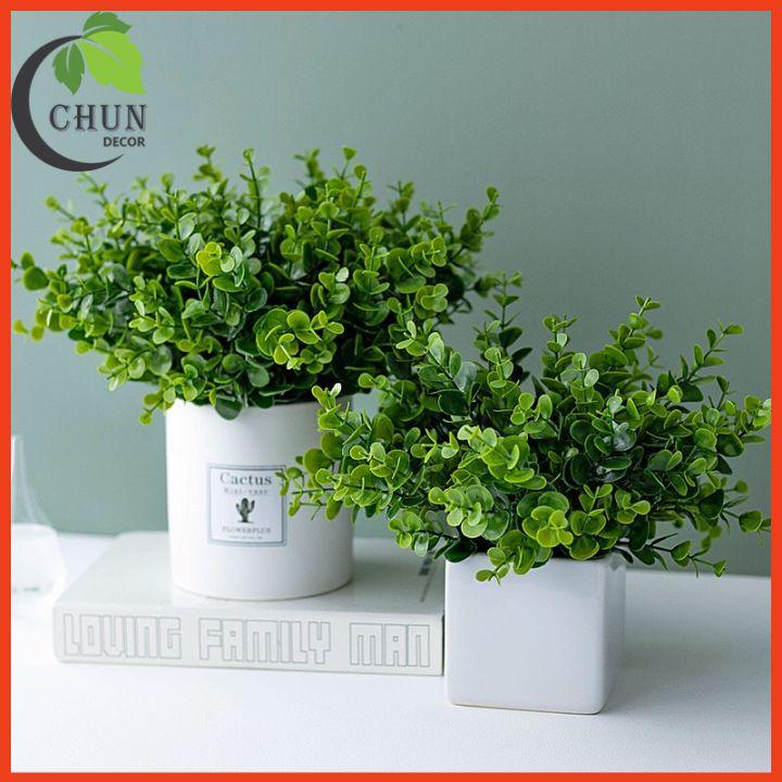 Chậu Lá Kim Tiền Nhân Tạo Xanh Mướt Cao 25-28cm Trang Tí Nhà Cửa, Cửa Hàng, Văn Phòng, Lớp Học