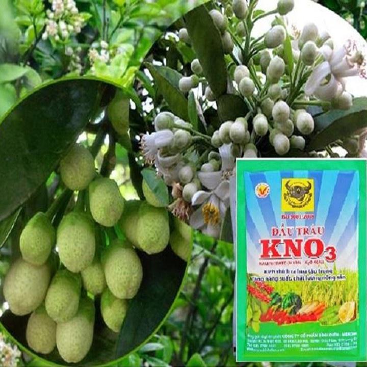 Phân bón Đầu Trâu KNO3 Kích thích cây ra hoa tập trung, giảm rụng trái non_gói 200g