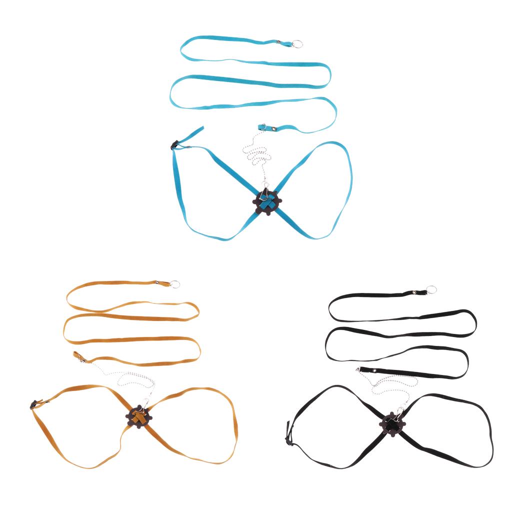 Adjustable Hamster Ferret Harness Leash for Pet Small Animal Blue Large