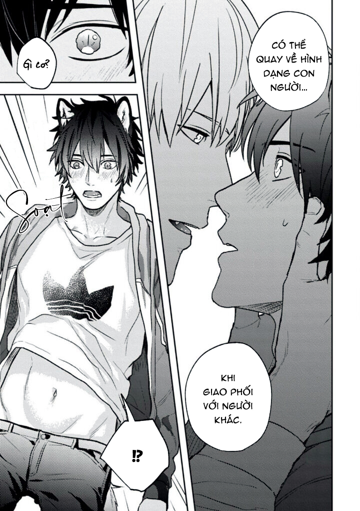 mật ngọt dã thú chapter 2 10