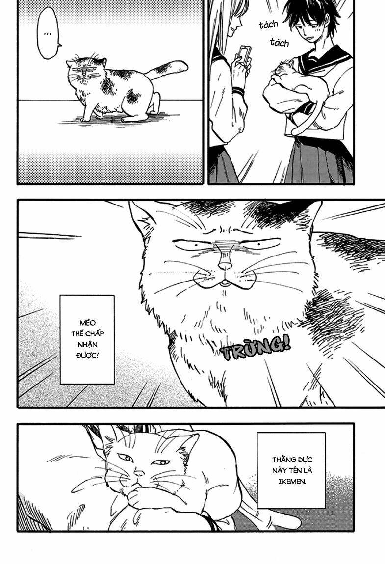 tui là busamen! chapter 1 14