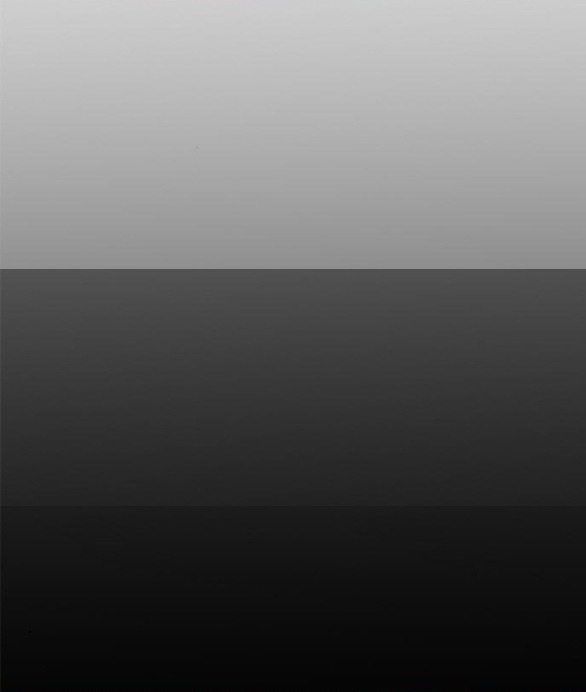 Cạm Bẫy chapter 177.1 62