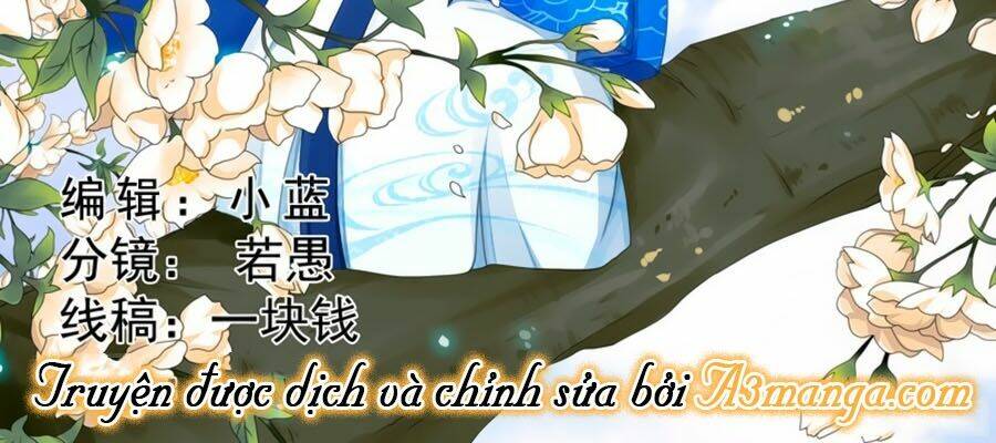 đống phù đã khai quang chapter 2 2