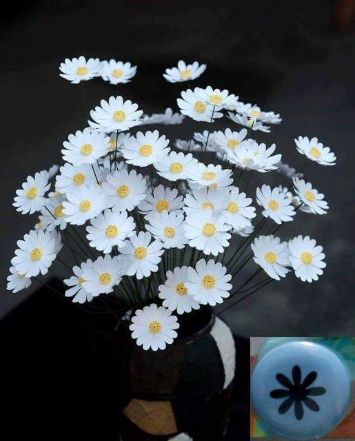 Bộ kit làm bình hoa cúc