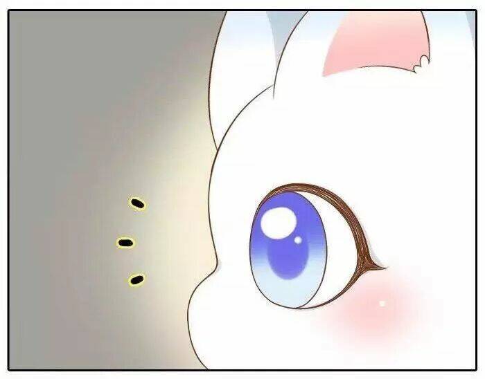 tiểu hồ ly vs tiểu hóa thượng chapter 36 18