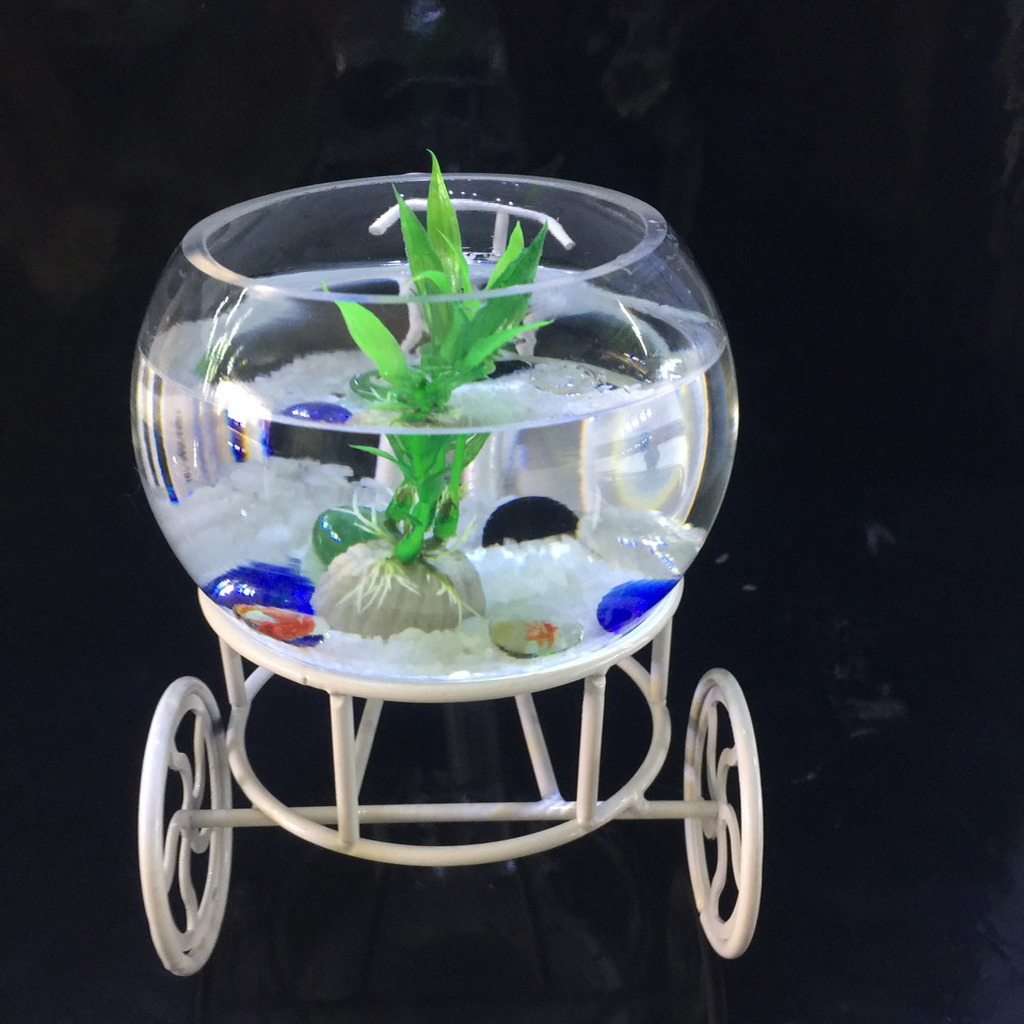 Bể cá mini để bàn xe đạp