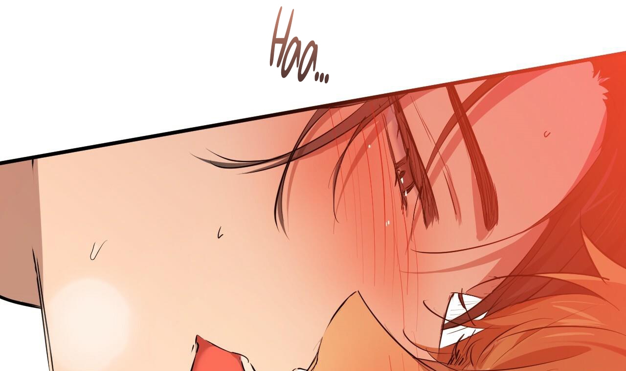 đàn thỏ của habibi chapter 25 252