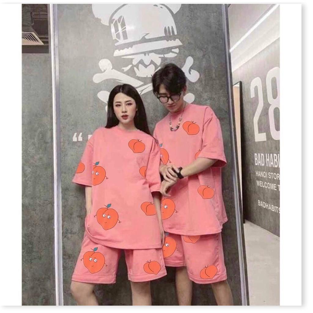 SET BỘ TRÁI BƠ CUTE