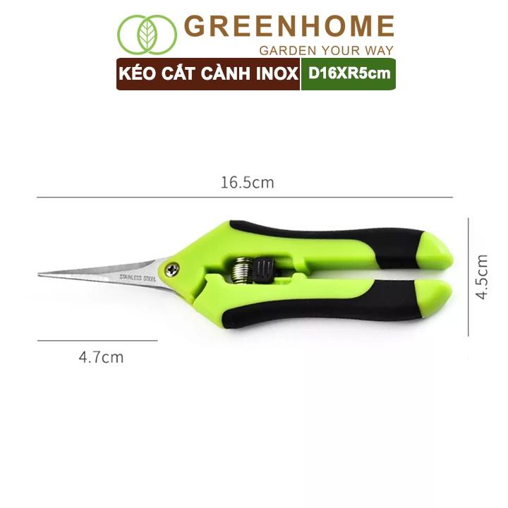 Kéo cắt cành, D15,5xR4,5cm, inox, mũi nhọn, siêu bén, không gỉ, có khoá an toàn |Greenhome