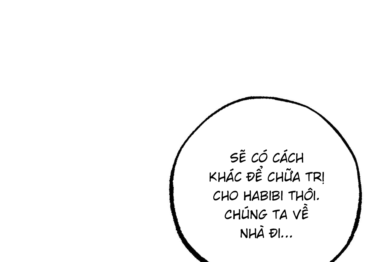 đàn thỏ của habibi chapter 62 253