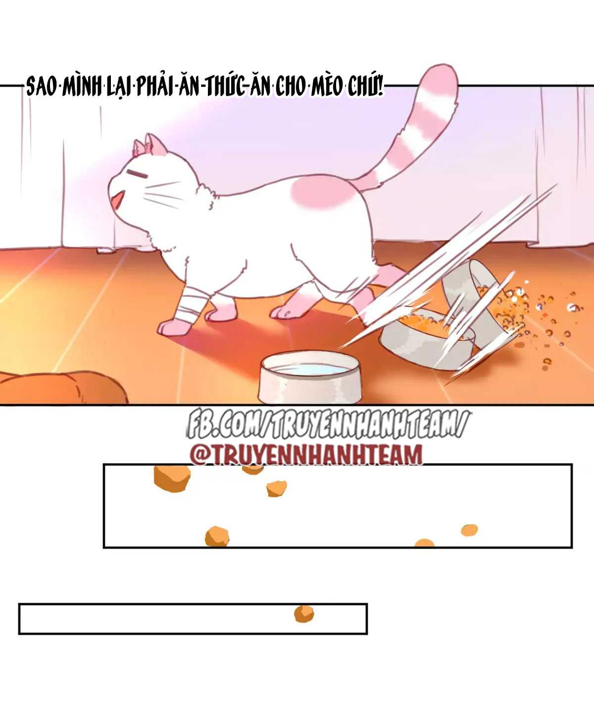 xã hội mèo chapter 2 14