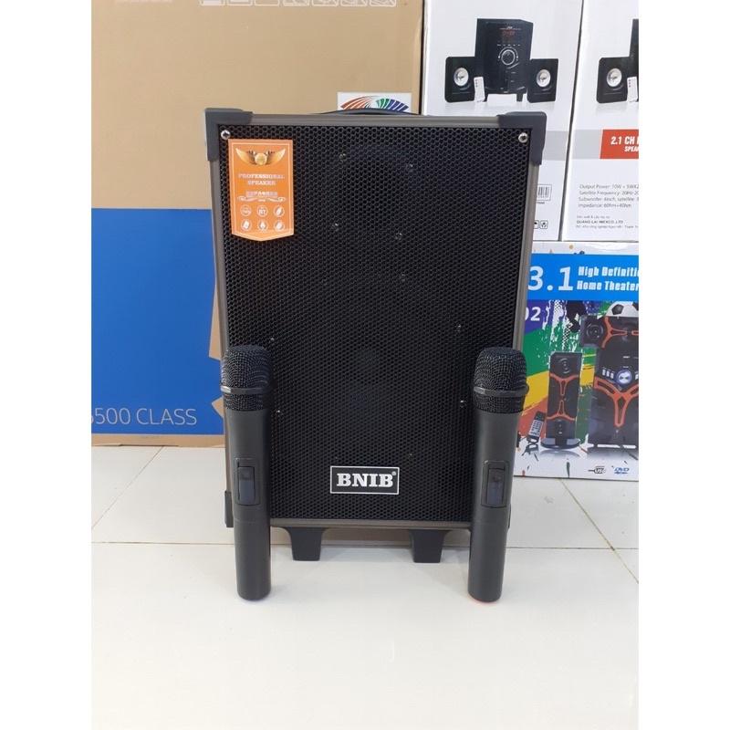 Loa karaoke hát hay giá rẻ BNIB T8 thùng gỗ bass 2 tấc tặng kèm 2 mic không dây