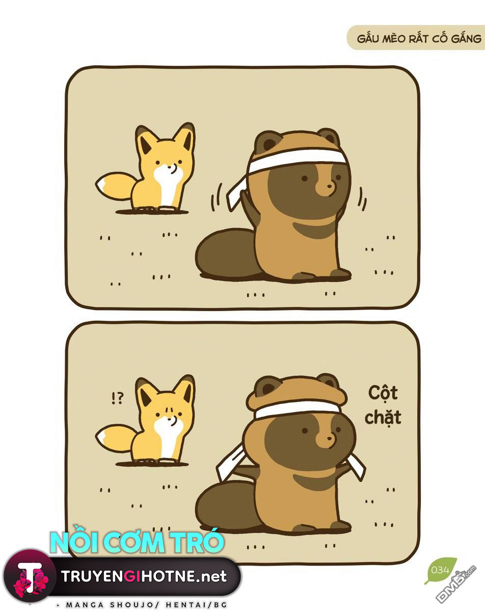 cáo và gấu mèo chapter 10 11