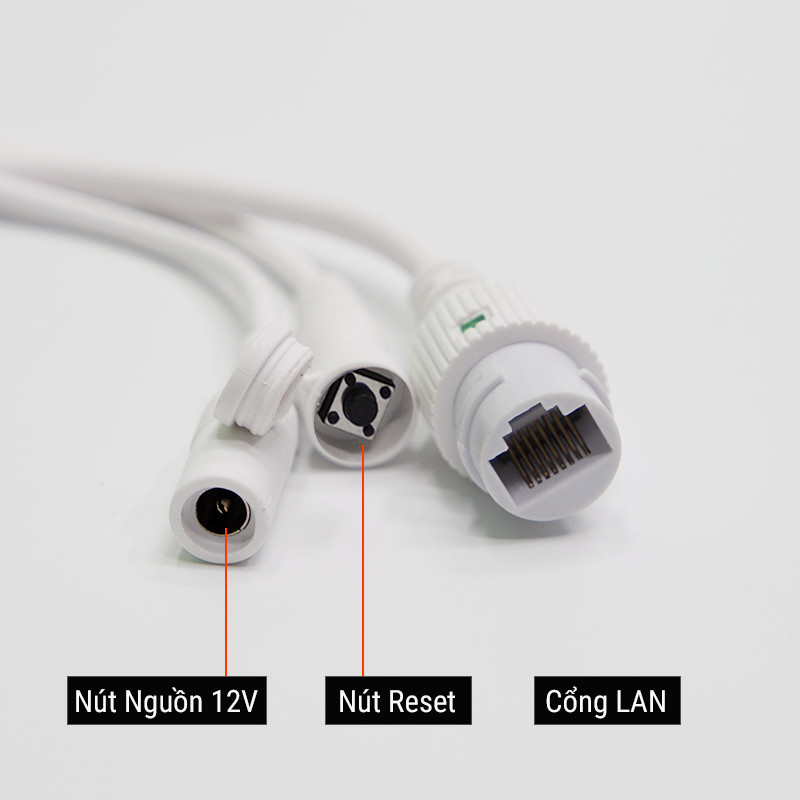 Camera Carecam Pro CC5022 Xoay Ngoài Trời 2.0Mpx FullHD 1080P, Hỗ Trợ Zoom Tới 10X - Hàng Chính Hãng