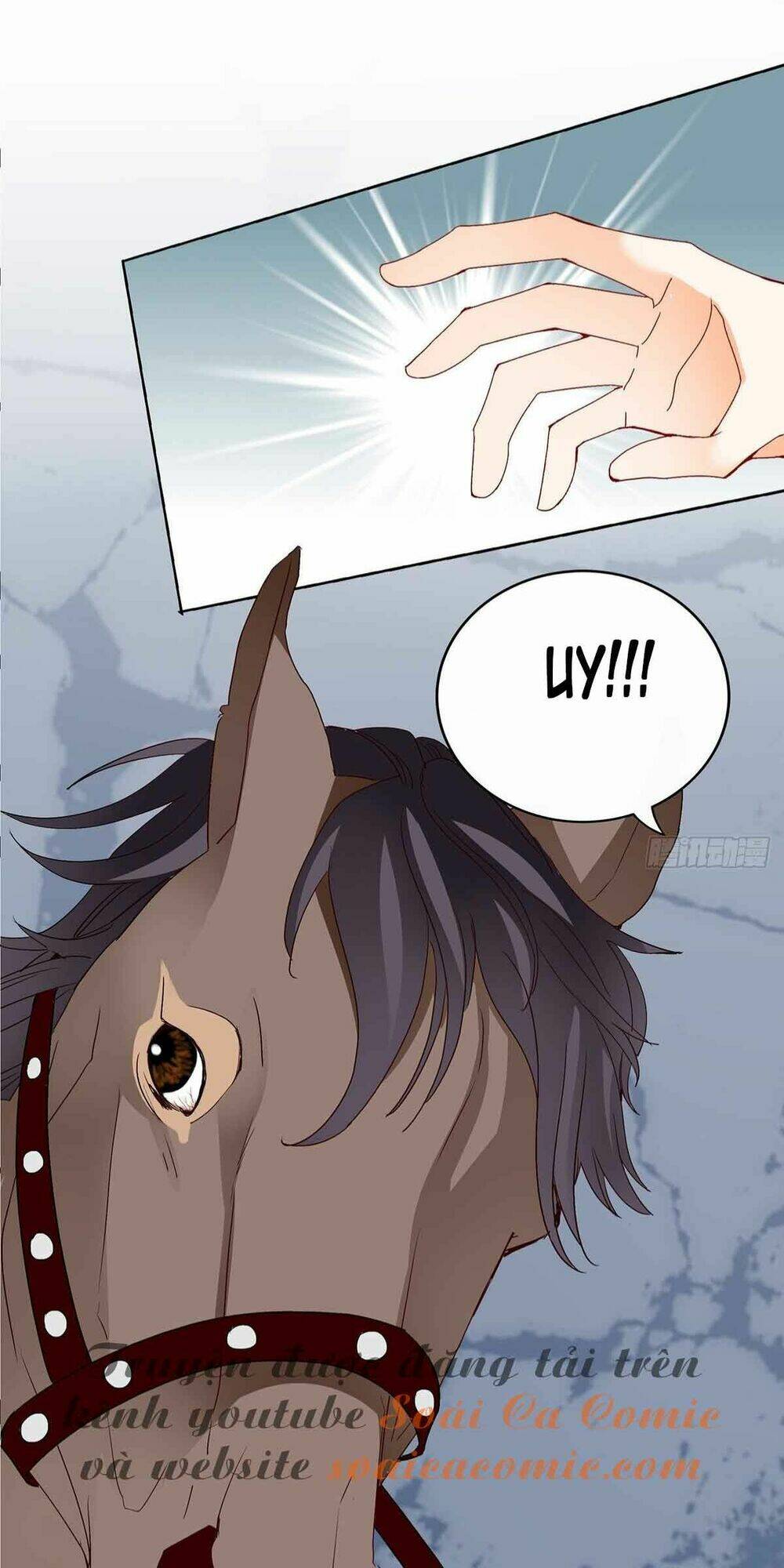 bổn vương muốn nàng chapter 81 2