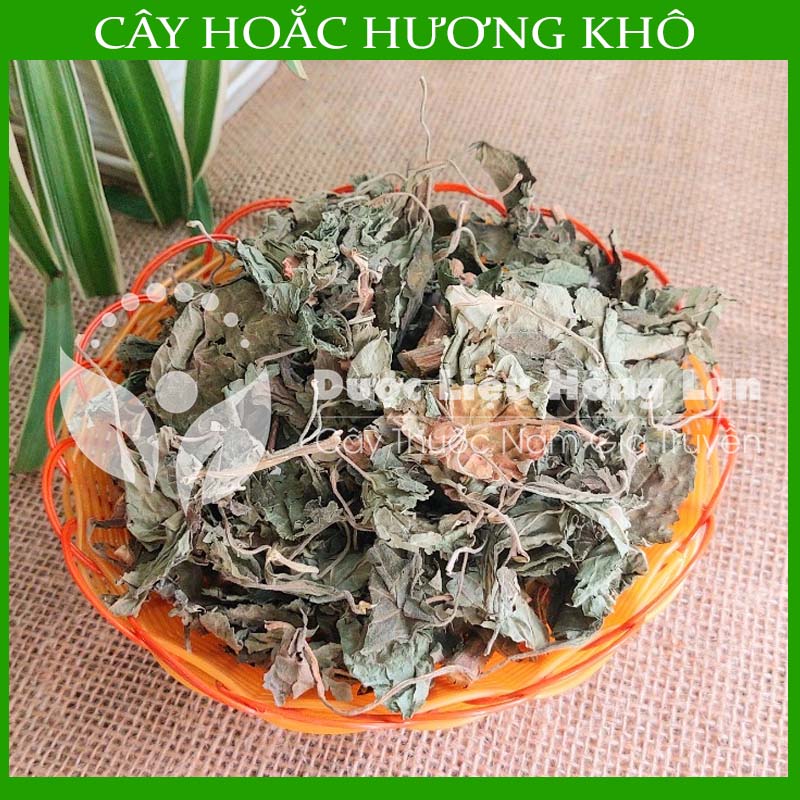 Cây hoắc hương khô sạch đóng gói 1kg
