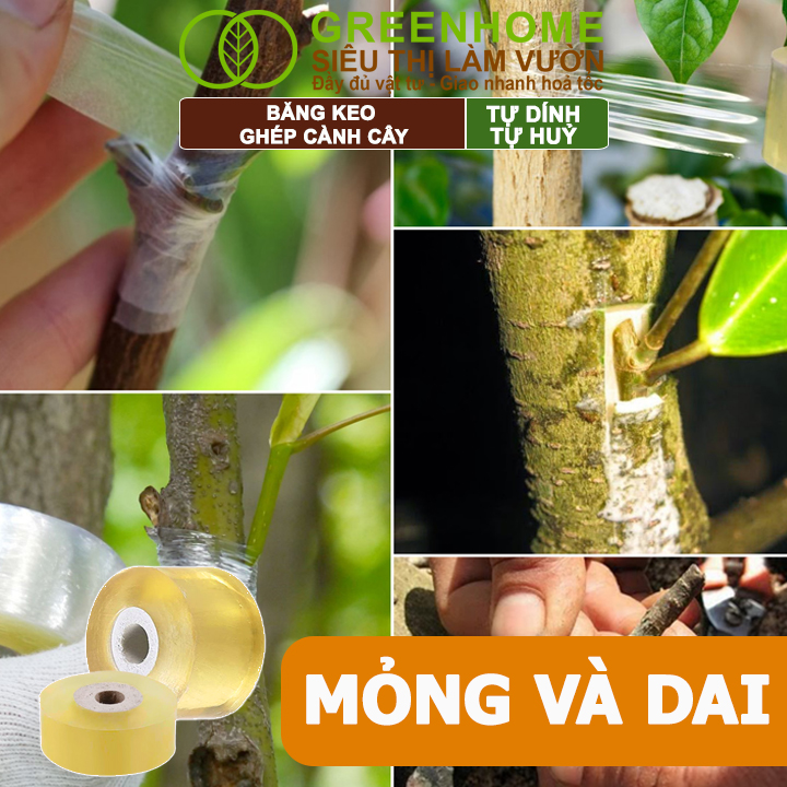 Keo Ghép Cành Greenhome, Dụng cụ làm vườn, Bảo Vệ Mối Ghép Nhanh Liền, Tự Dính, Tự Huỷ, Dễ Sử Dụng