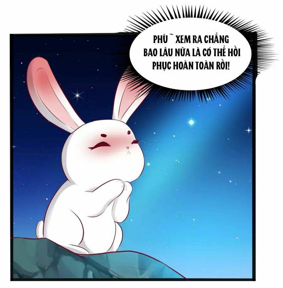 thỏ yêu tiểu vương phi chapter 35 19