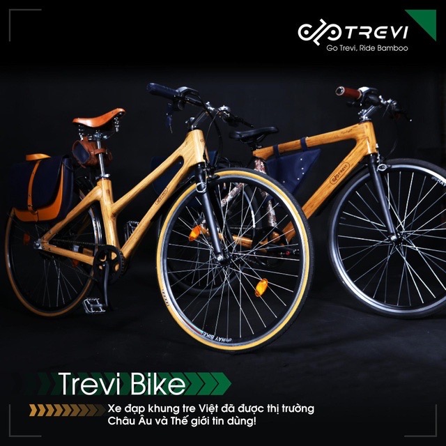 Xe đạp Tre trợ lực điện Trevi Moonlight - Trevi Bike