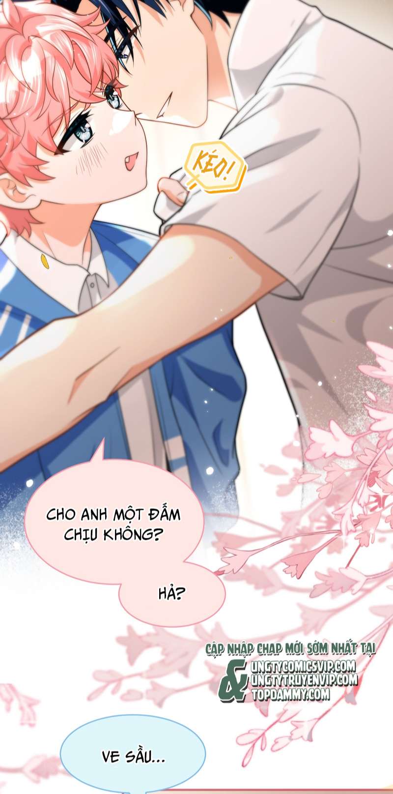 tín tức tố nói chúng ta không thể chapter 71 12