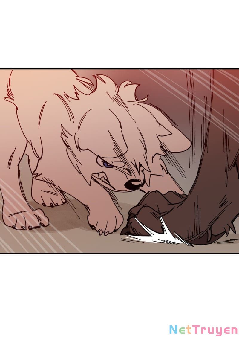 lumine - cội nguồn ánh sáng chapter 107 22