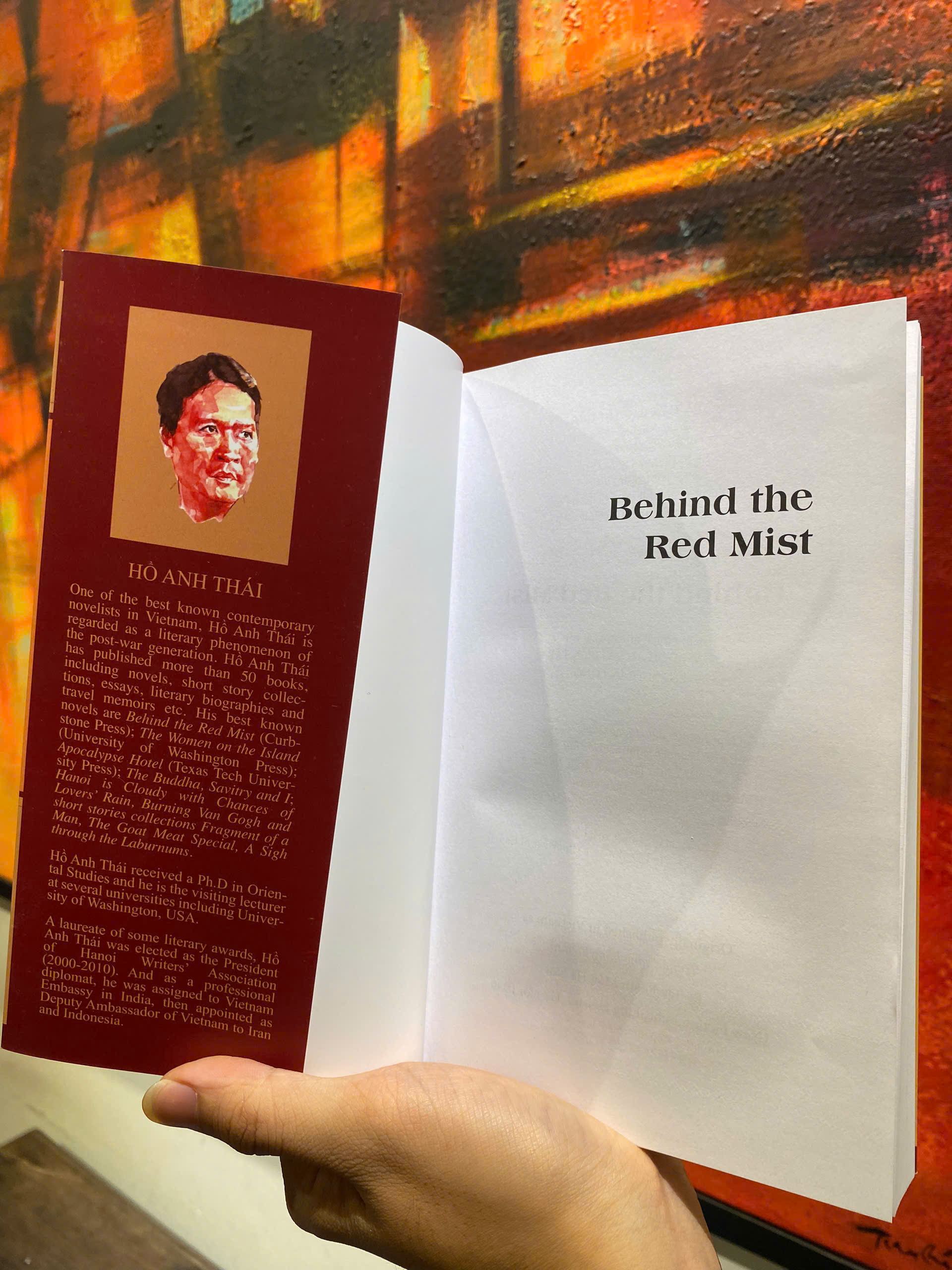 Sách - Behind The Red Mist by Hồ Anh Thái - Tiểu thuyết lịch sử Việt Nam - Novel in English