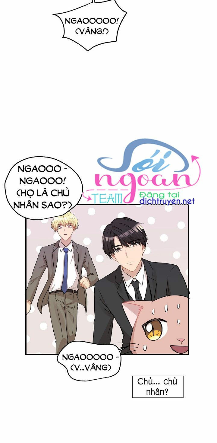 cuộc sống kỳ thú chapter 26 47