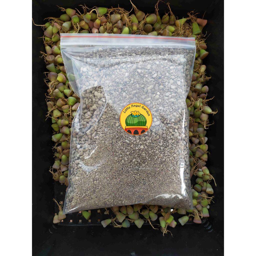 500g Giá thể sen mông, lithops, thạch lan | Thoát nước siêu tốt, ra rễ cực nhanh