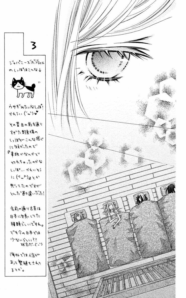 stardust wink chapter 34 22