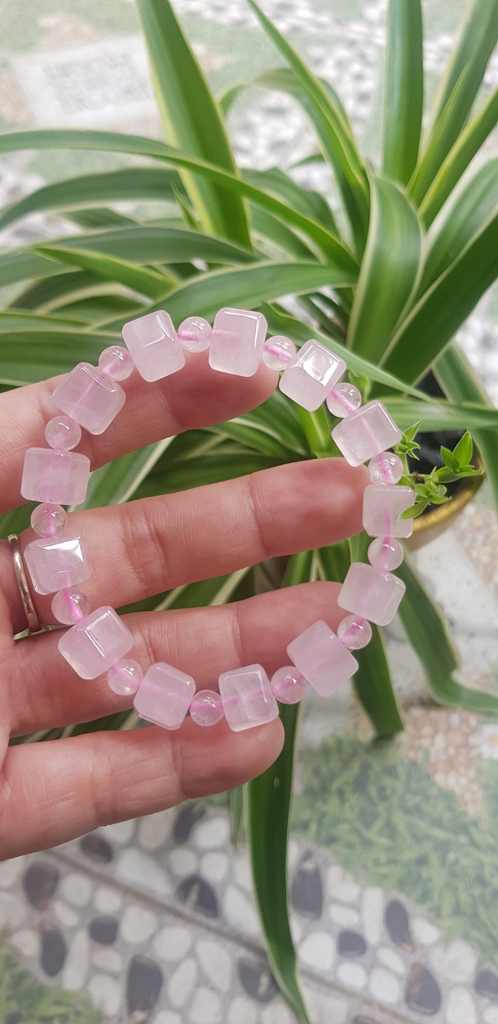 Vòng tay nữ kiểu đá thạch anh hồng tự nhiên hạt vuông tròn đan xen rất là đẹp Size hạt vuông 9mm phối bi nhỏ 6mm màu hồng tươi nhẹ nhàng nữ mệnh hỏa mệnh thổ đeo có 499k ạ
