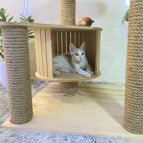 Cat tree – Trụ cào móng cho mèo có hộc gỗ độc đáo