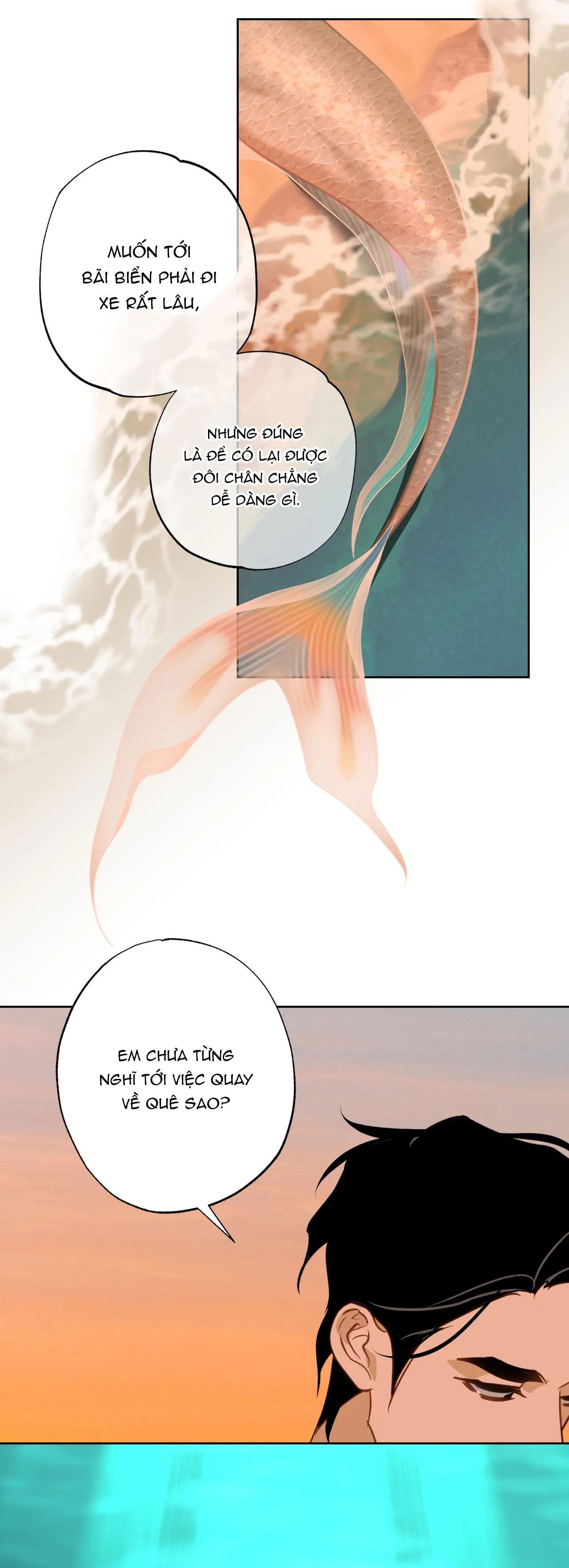 mỹ nhân ngư chapter 14 25