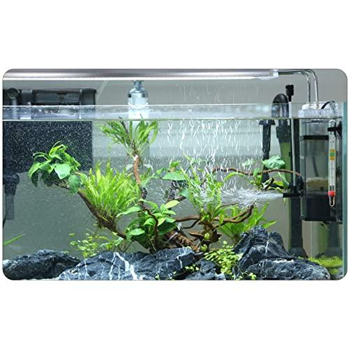 Skimmer JY 03 Surface Skimmer với máy bơm I Surface Sucker cho Thủy cung 300 L/H I Bộ lọc bên trong Bộ lọc hồ cá Nano Phụ kiện hồ cá Nano