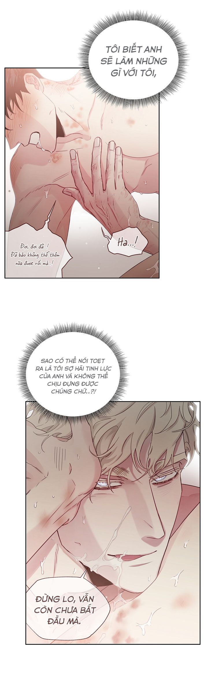 đoá hồng và ly champagne chapter 0.2 7