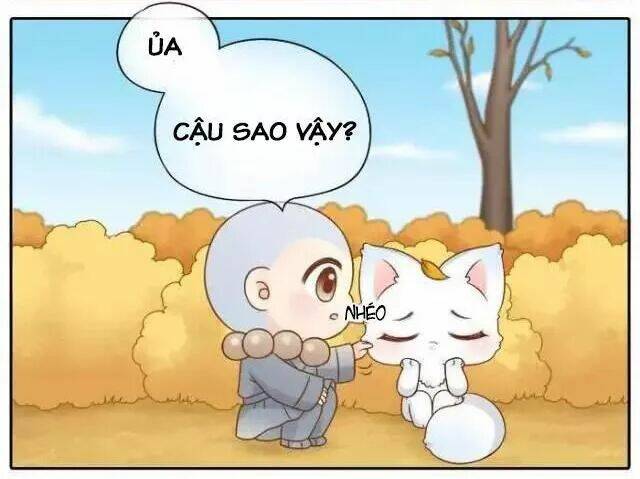 tiểu hồ ly vs tiểu hóa thượng chapter 66 15