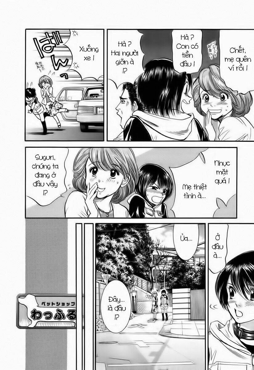 cô nàng yêu chó chapter 40 12