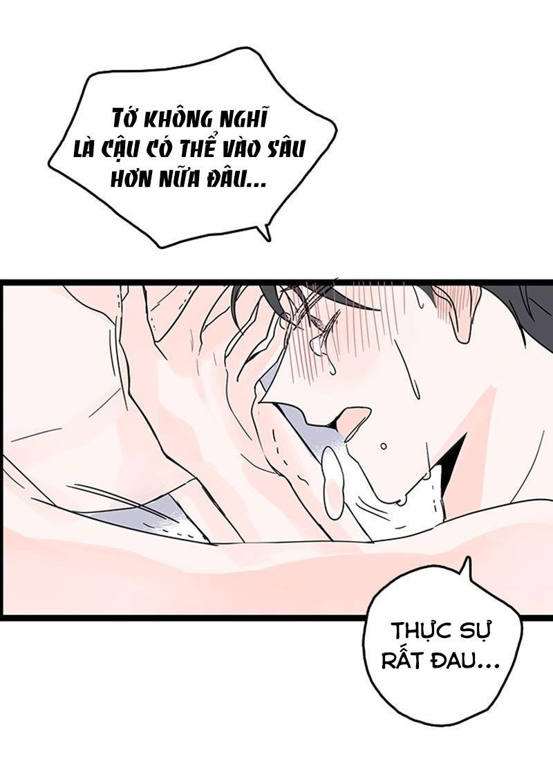 tình cờ yêu (full) chapter 5 13