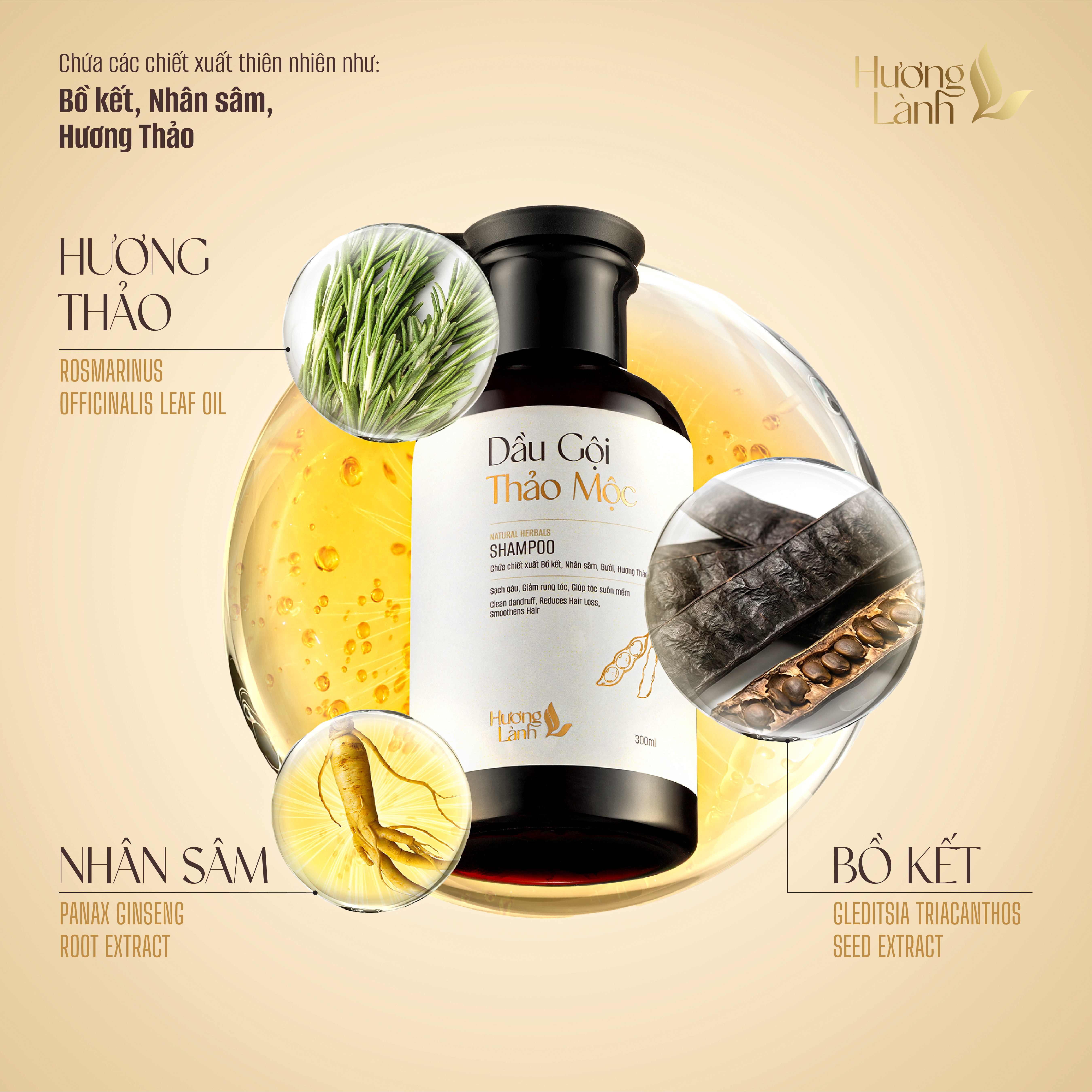 COMBO 2 chai Dầu gội Thảo mộc Hương Lành