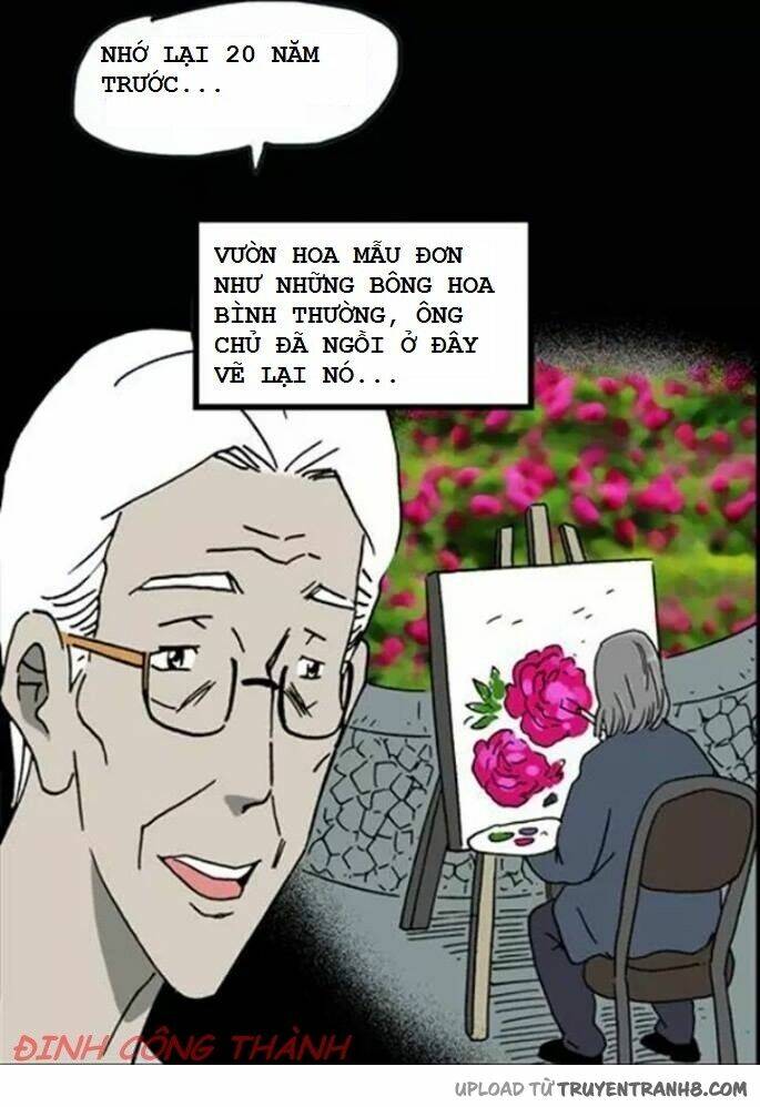 hoa mẫu đơn đen chapter 1 16