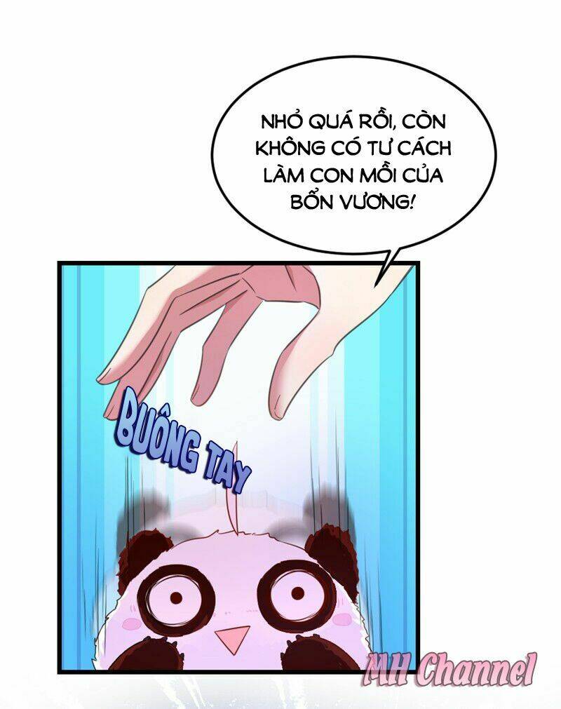 thiên thần gấu trúc muốn được ôm chapter 6 4