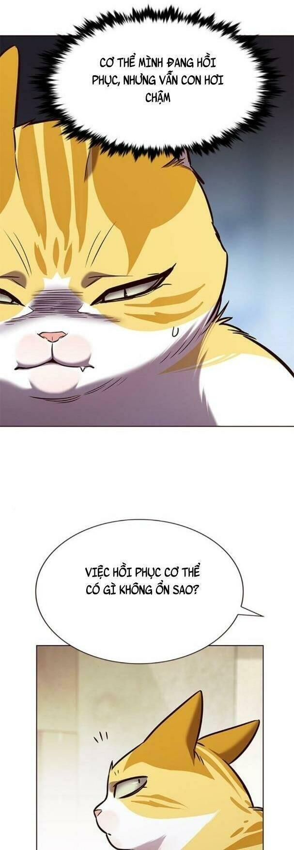 biến thân thành mèo chapter 180 4