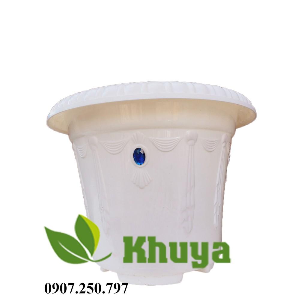 Chậu Ngọc trồng cây 28x21cm Trắng và Đỏ