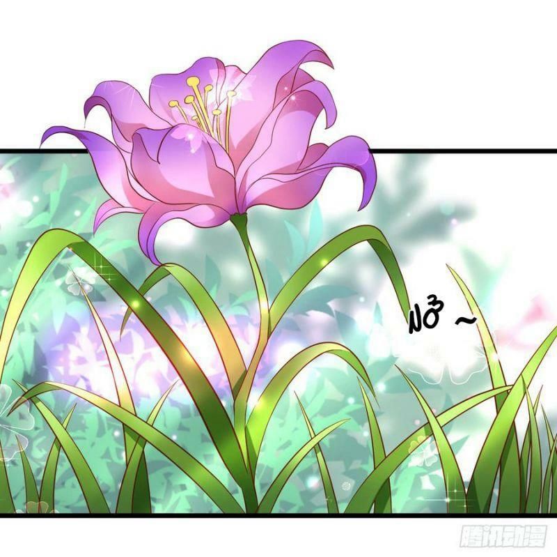 hồ tiên hung bạo chapter 143 50