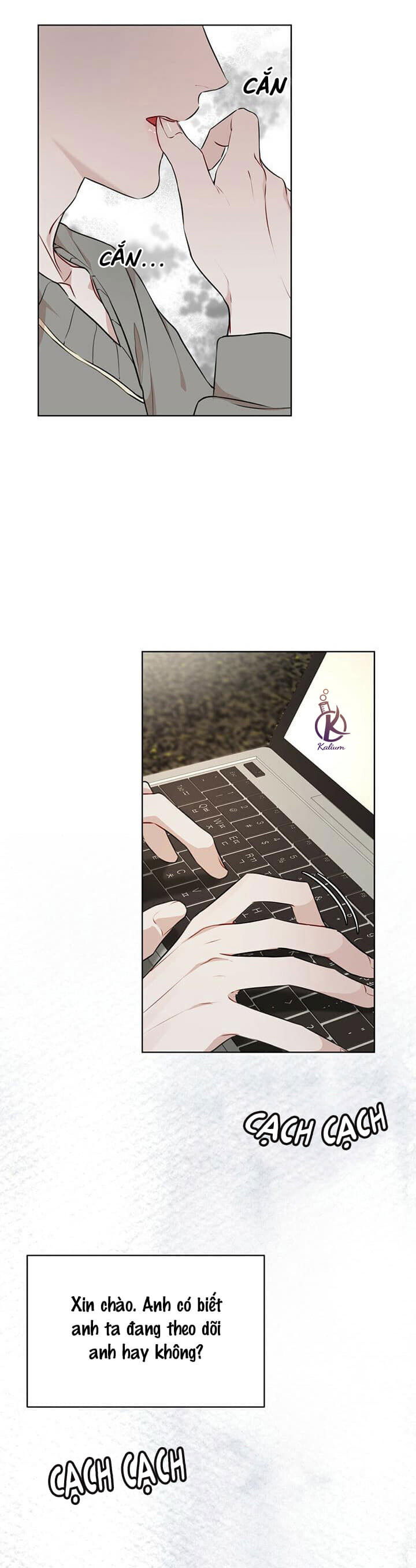 hình thái khởi sinh chapter 30 13