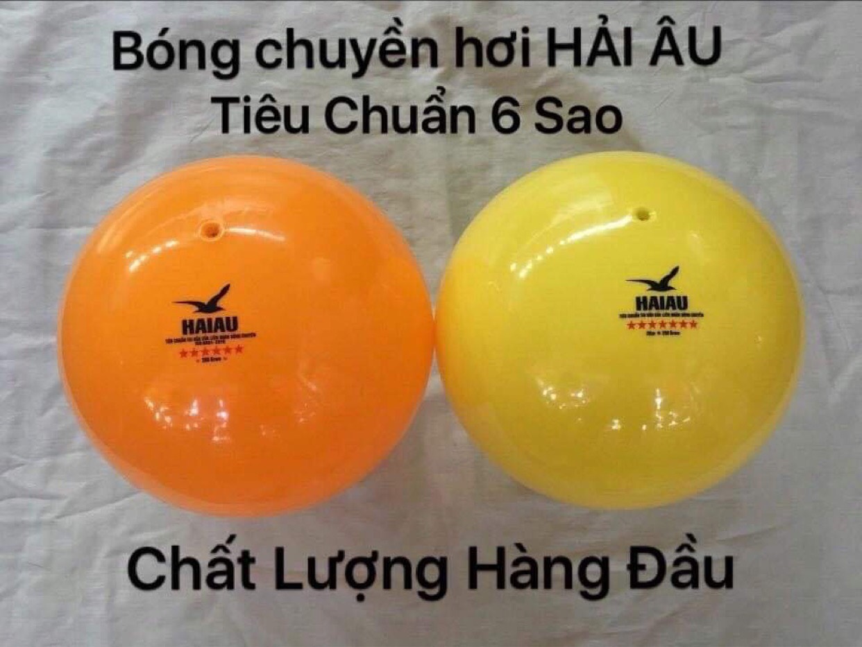 Bóng chuyền hơi Hải Âu 250g ( tiêu chuẩn thi đấu )