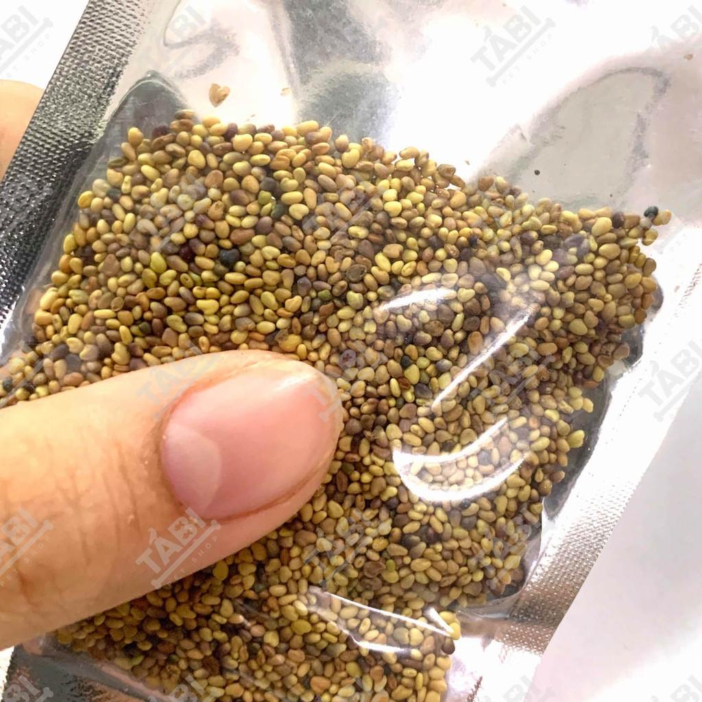 Hạt Giống Thuỷ Sinh - Cây Trồng Thuỷ Sinh