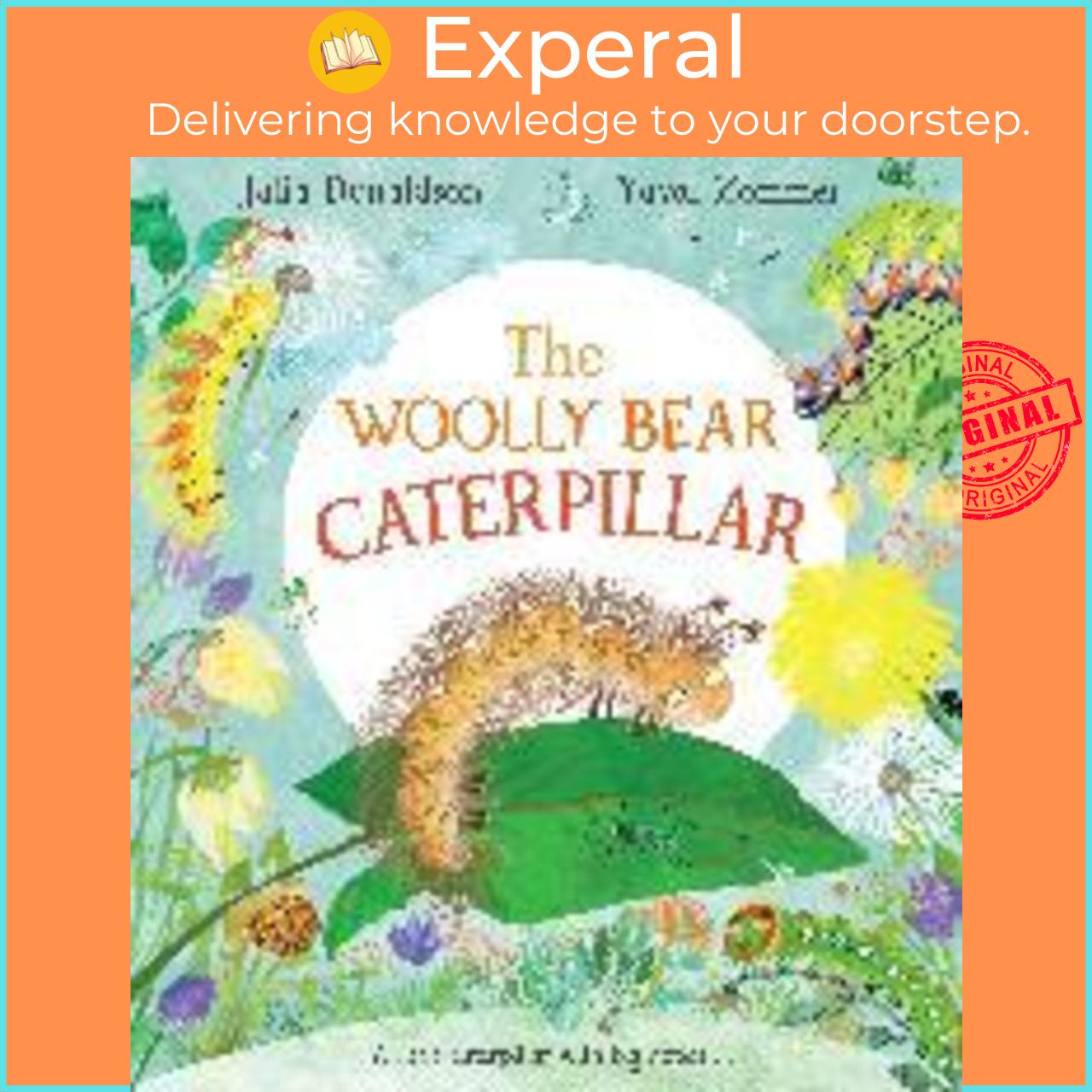 Sách - The Woolly Bear Caterpillar by Julia Donaldson Yuval Zommer (UK edition, hardcover)