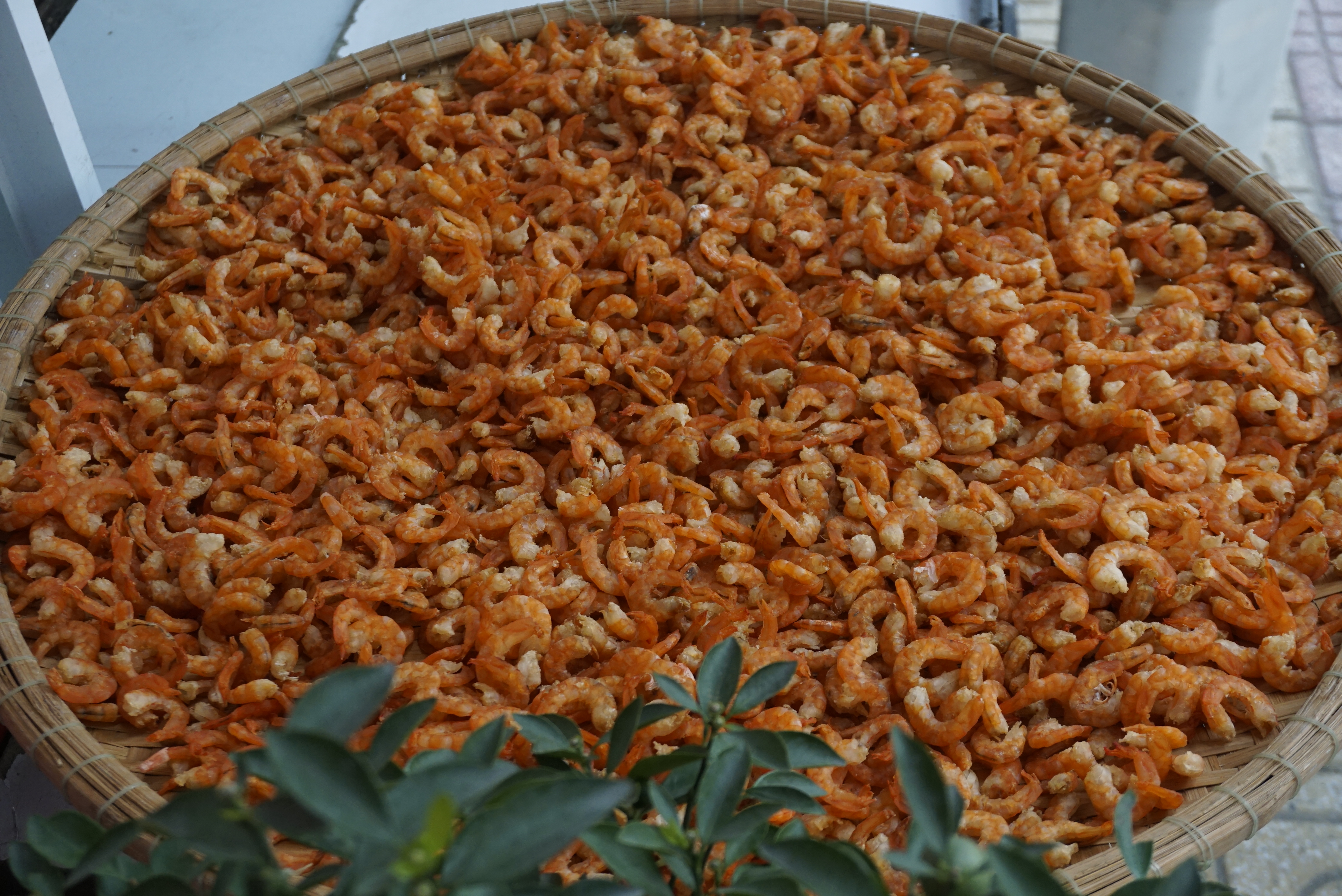 Đặc Sản Nha Trang -Tôm Khô Nha Trang Loại 1 Ngọt Thịt Size Trung, Seavy Gói 200g