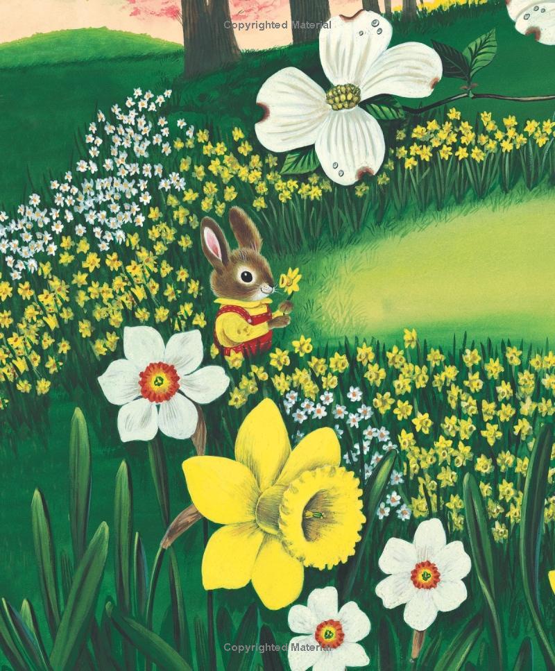 Sách ngoại văn: I Am A Bunny