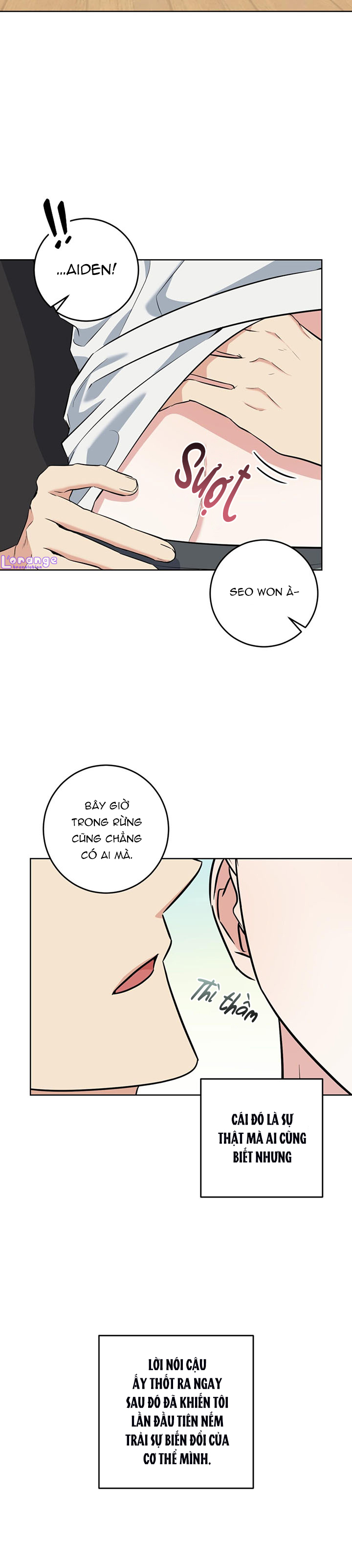 cánh rừng bình lặng chapter 11 7